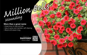 Million Bells Mounding
