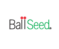 Ball Seed