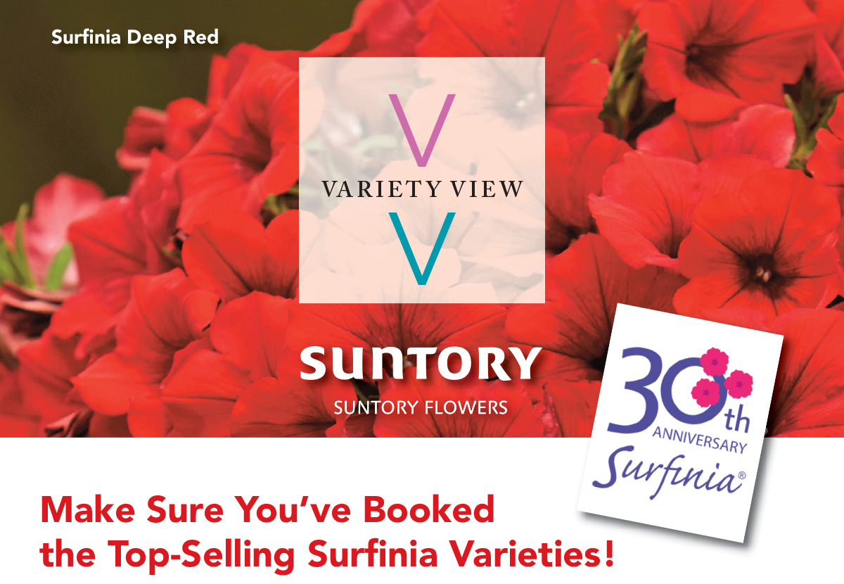Suntory Flowers Variety View newsletter header image
