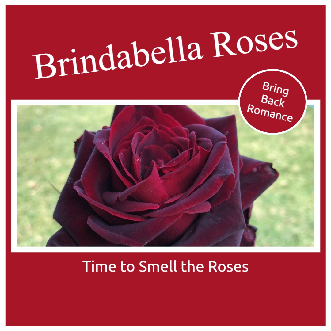 Brindabella Roses social media image 8