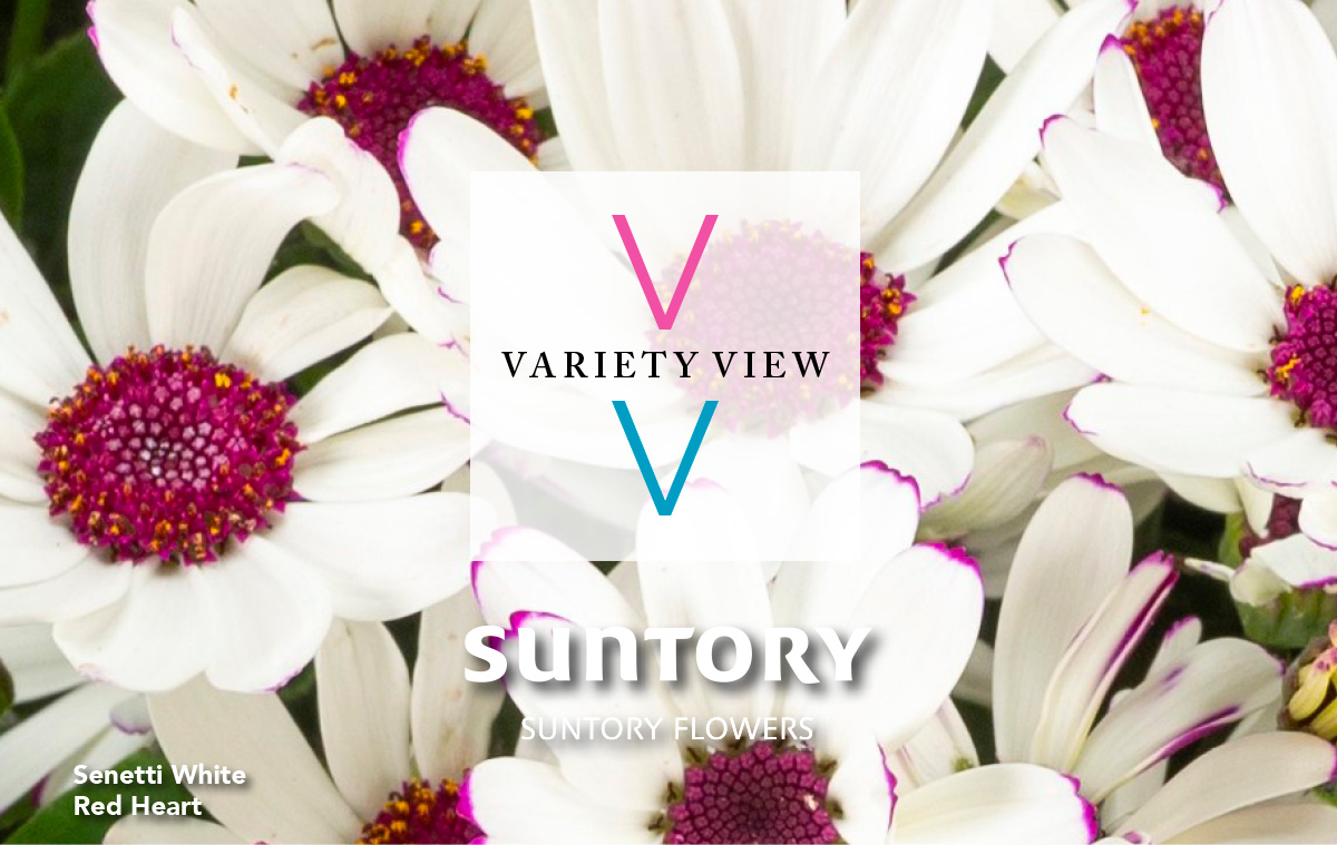 Suntory Flowers Variety View