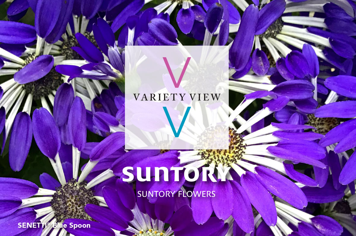 01.02.25 New Varieties.indd